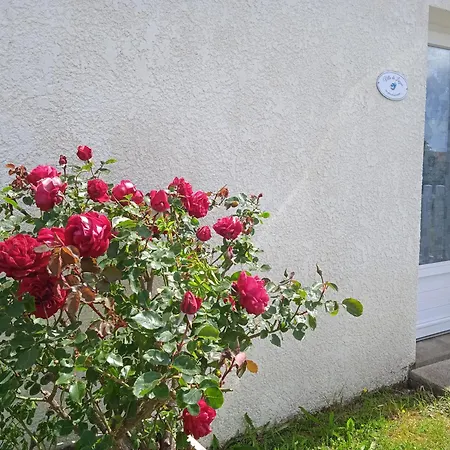 Tatil Evi Du Lagon Avec Piscine Saint-Michel-en-l'Herm